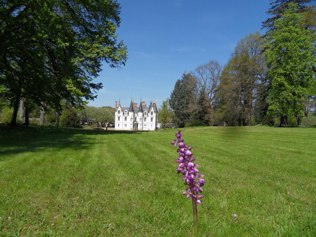 Noailly Chateau De La Motte المظهر الخارجي الصورة